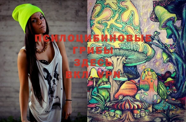 гидра Приозерск