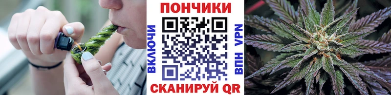 МАРИХУАНА индика Цоци-Юрт